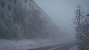 when the cold began to think [cryogenic ambient]