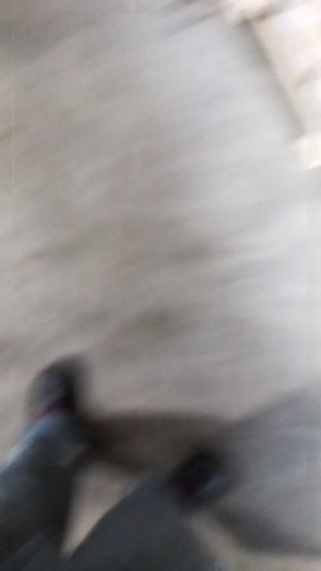 погрузка в машину 24.06