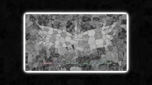 عصفور من نور 5
