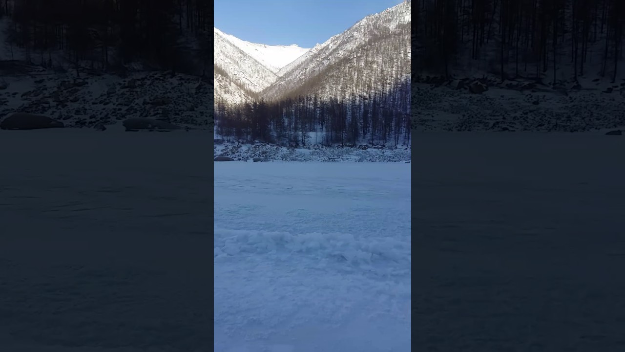 Сайгак это сила смотреть онлайн