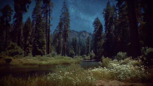 the night takes your thoughts and makes them stars. 🌙 смотреть онлайн