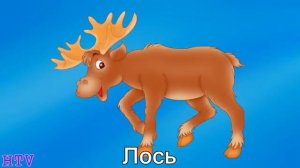 Лесные животные мультик для детей с стихами