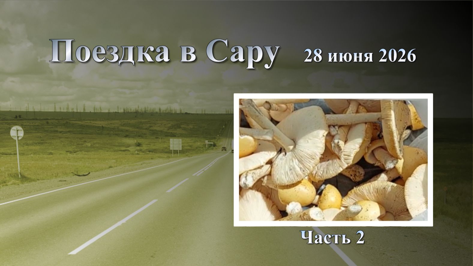 ПОЕЗДКИ