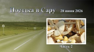 Сара 2026 часть 2 / Нашли грибы или поганки / Всё бросили с мужем и уехали / Поехали дальше