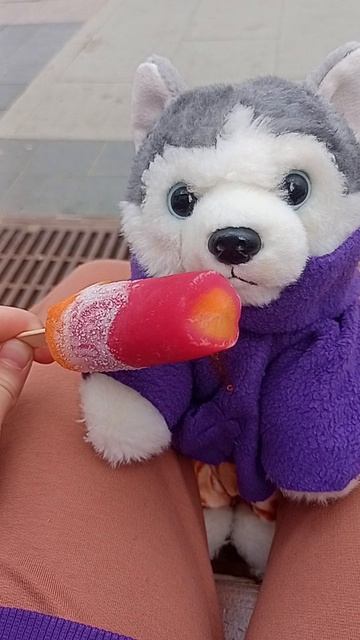 Хотели бы мороженое?🍦🍧🍨