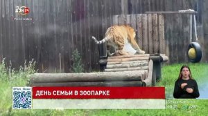 В Ростовском зоопарке отпраздновали День семьи, любви и верности