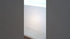 5 ночей с Василисой
