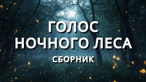 Голос ночного леса: сборник рассказов