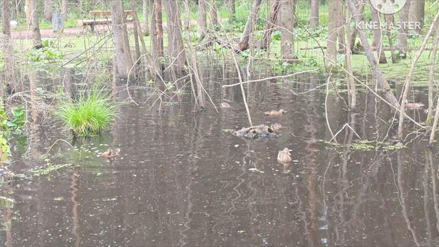 4156.mp4 смотреть онлайн
