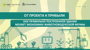 От проекта к прибыли: как правильно построенное здание меняет экономику животноводческой фермы