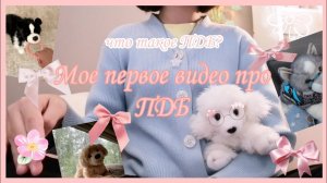 Первое видео про ПДБ. 🎀//Видео знакомство//ПДБ//Muffin plush dog//