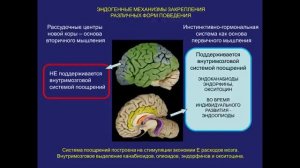 С.В. Савельев - Вторичное сознание.
