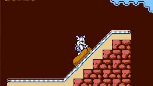 Tiny Toon Advetures 2