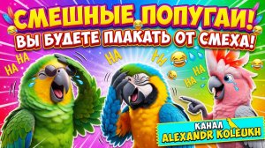 СМЕШНЫЕ ПОПУГАИ! ВЫ БУДЕТЕ ПЛАКАТЬ ОТ СМЕХА!