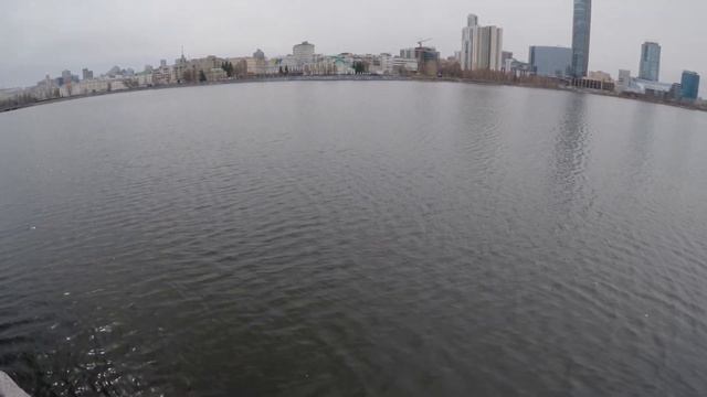 Полярик на сверхширике. GoPro11 в клетке с поляриком. смотреть онлайн