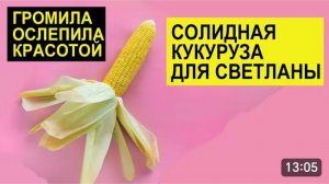 САМВЕЛ АДАМЯН, ОБЗОР ОТ СК, КУКУРУЗА ДЛЯ СВЕТЛАНЫ, ГРОМИЛА ПОКАЗАЛА КРАСОТУ..