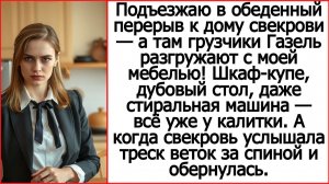 Слушать истории из жизни. Подъезжаю в обеденный перерыв к дому свекрови, а там. Жизненные истории.