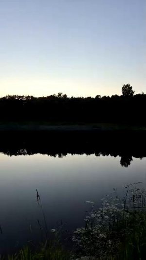Река вечером, звуки природы