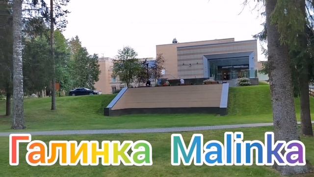Деревенский дневник /Это случилось /Обвинили /Обзор Влогов /Мать-героиня /Леля Быкова / смотреть онлайн