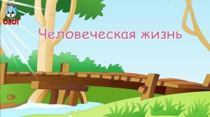 Человеческая жизнь