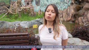07.07.2026 Сахалин сегодня