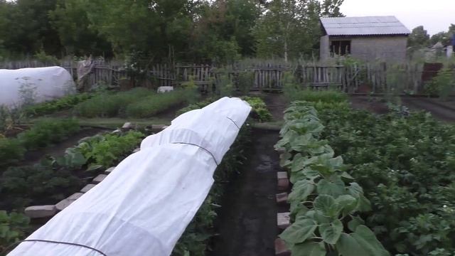 Сильный ветер смотреть онлайн
