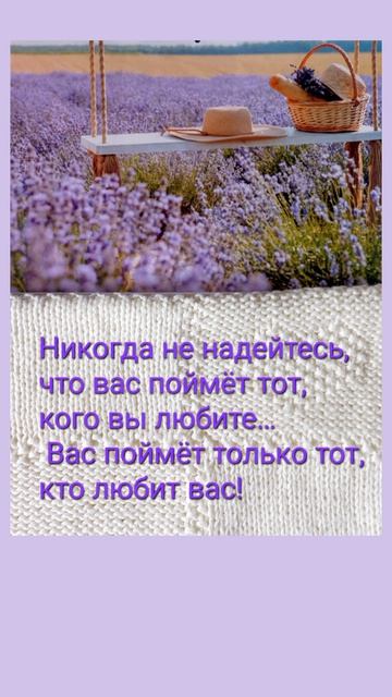 Мысли вслух