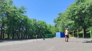 Сергей Милейко - Журавли