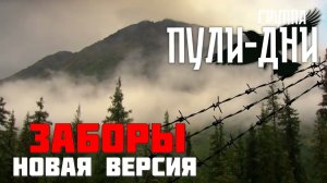 Группа Пули Дни   Заборы новая версия