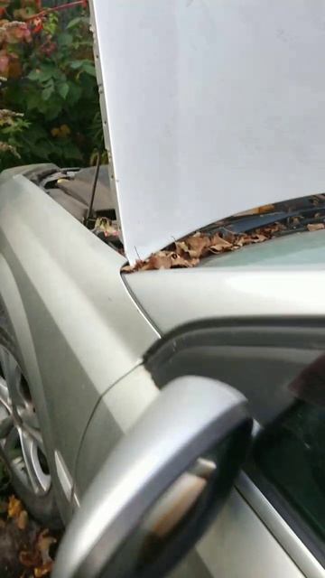 Запуск Opel Vectra C