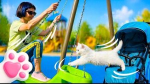 Котёнок Кефир исследует набережную вместе с Машей Капуки!