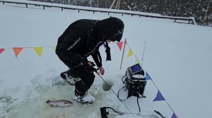 Ловля форели зимой с Lowrance Active Target 2 + Lowrance HDS 9 PRO. Базовые настройки.