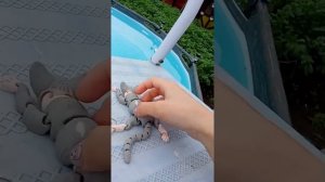 любовь в деревне летом