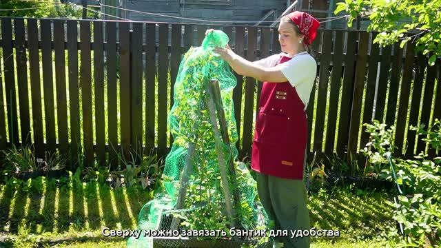 Дачные штучки