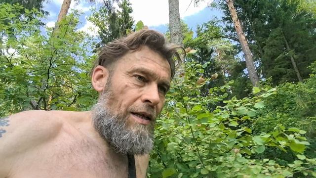 Бродил по лесу и ел ягоды смотреть онлайн