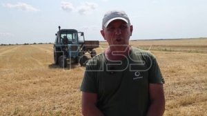 Уборка урожая пшеницы в Херсонской области