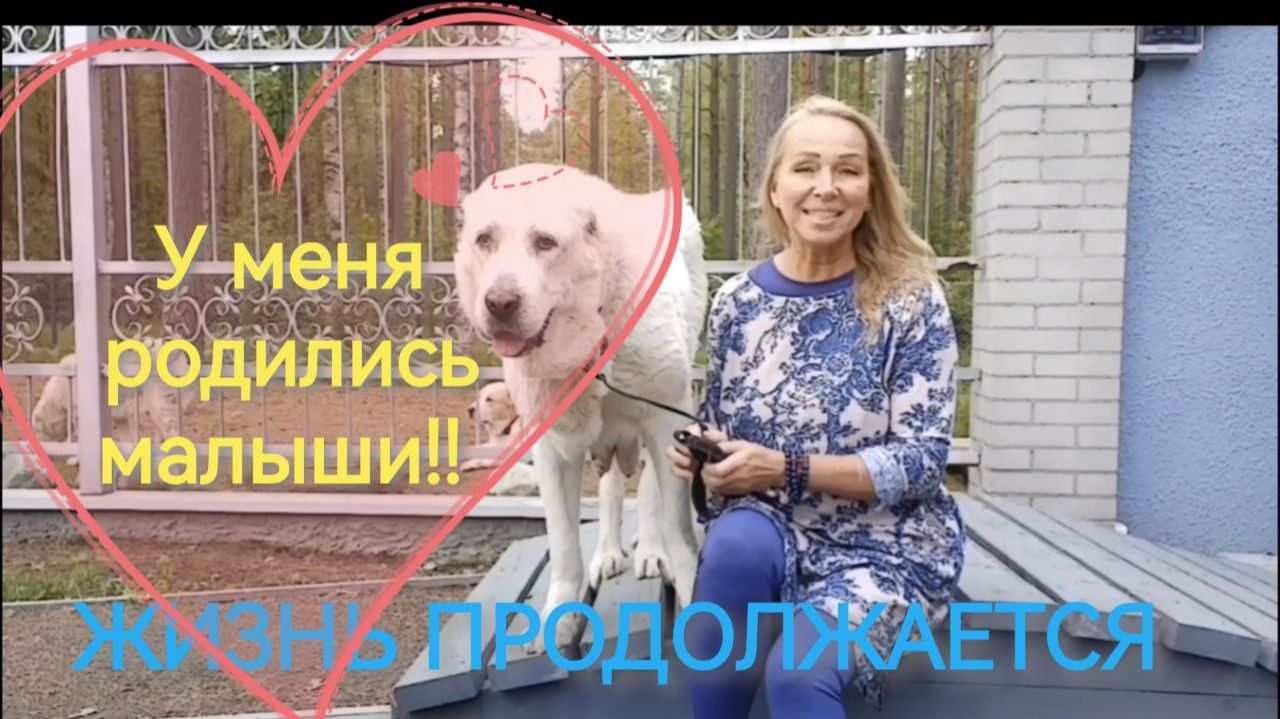 Летняя жизнь. События, экскурсии, настроение.