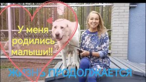 Летняя жизнь. События, экскурсии, настроение.