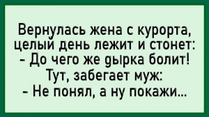 Как Жена На Юге Загуляла! #анекдоты #прикол #ржака