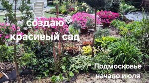 Создаю красивый сад. Подмосковье. Начало июля. Миксбордер у забора. Стрижка спирей.