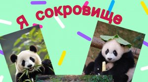 🐼 Самое ценное сокровище Китая-не Великая стена.А эти пушистые чёрно-белые создания.🐼