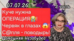 3 часть. Куче нужна ОПЕРАЦИЯ😭❗️Червяк в глазах🤯❗️С@пля - поводырь👀❗️