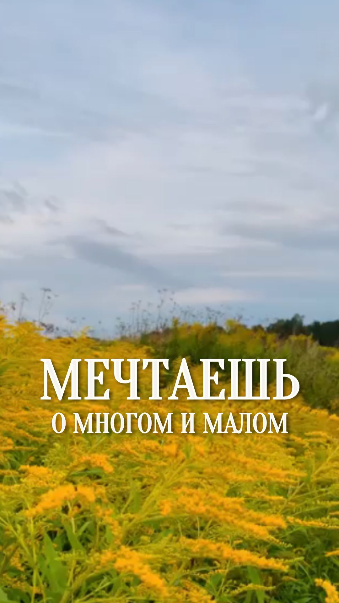 Маленькие чудеса среди нас