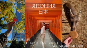 МЕЧТА СБЫЛАСЬ: ЯПОНИЯ 🇯🇵 Небоскрёбы Токио, храмы Киото и олени Нара