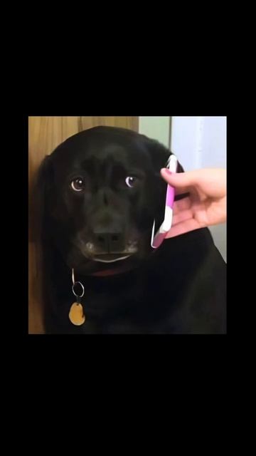 Когда пишет клиент