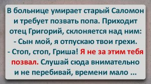 ✡️ Тайна Старого Сало-Мона! Еврейские Анекдоты! Анекдоты Про Евреев! Выпуск #475