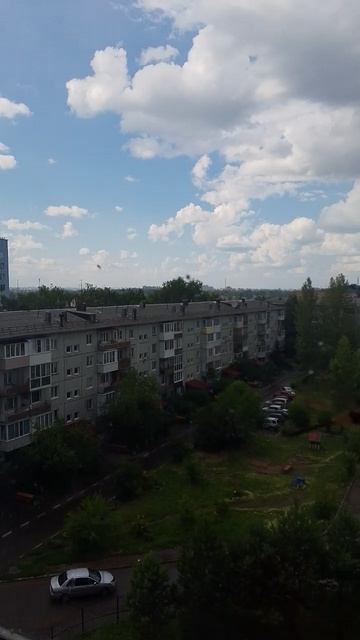 К нам попала стрекоза
