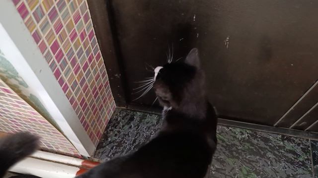 Ну Мухаморина ты даёшь смотреть онлайн