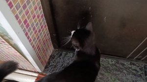 Ну  Мухаморина ты даёшь