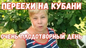 299🏡Очень плодотворный день